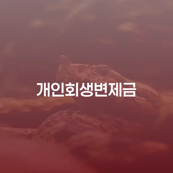 개인돈회생 채무 효과적인 해결방법 적정한