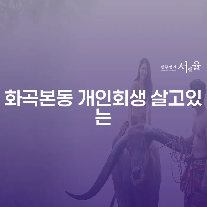 화곡본동 개인회생 살고있는
